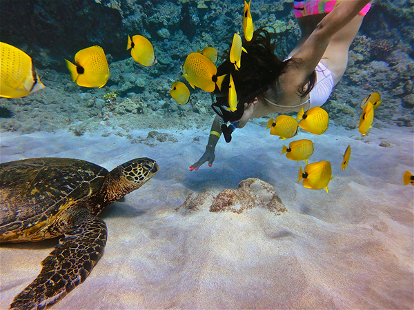 Maui Snorkeling